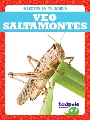 cover image of Veo saltamontes (I See Grasshoppers)